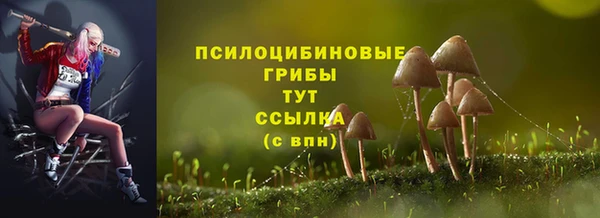 спайс Алексин