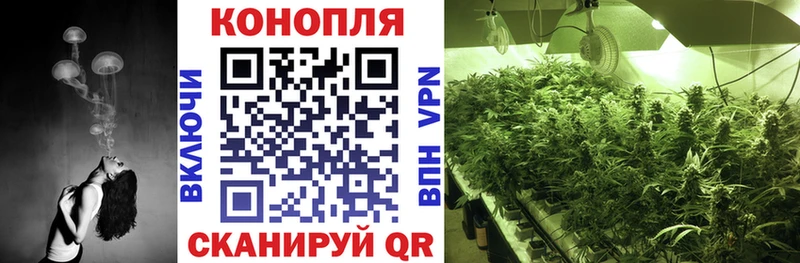 Бошки Шишки OG Kush  omg tor  Апатиты 